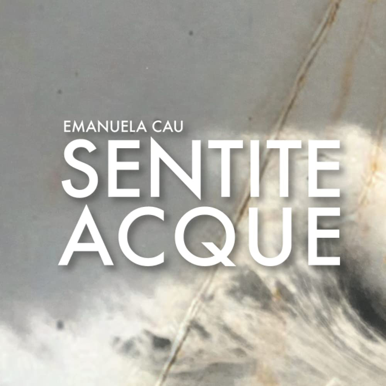 Copertina del catalogo Emanuela Cau Sentite acque