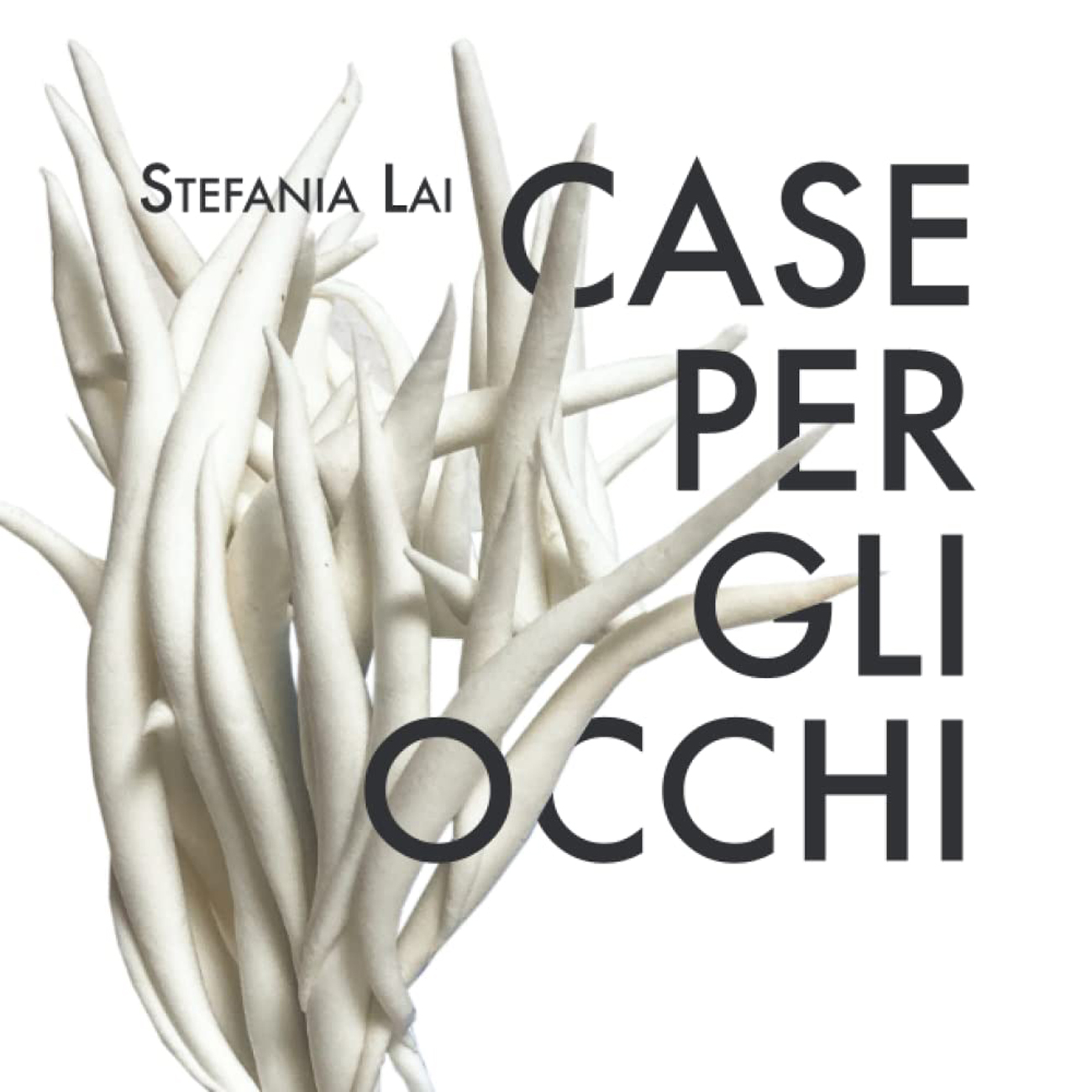 Copertina del catalogo Stefania Lai Case per gli occhi